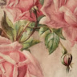 Meet your Posher, Penny